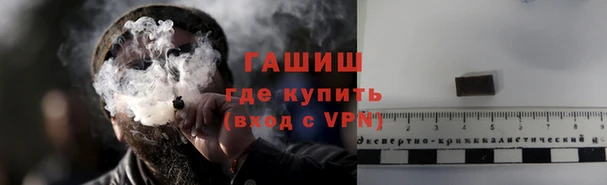 мдпв Богородск