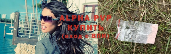 apvp Белокуриха