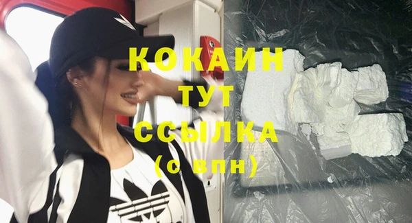 гидропоника Богданович