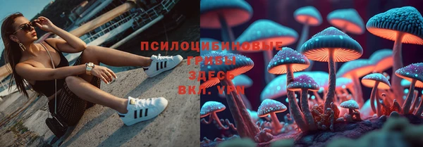 амф Белоозёрский