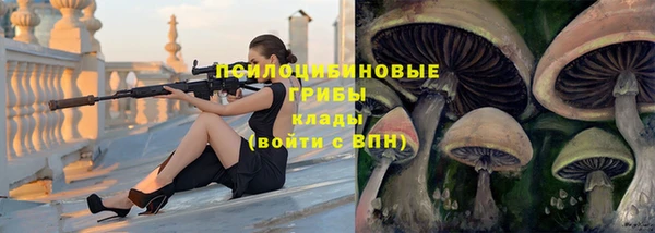 гидропоника Богданович